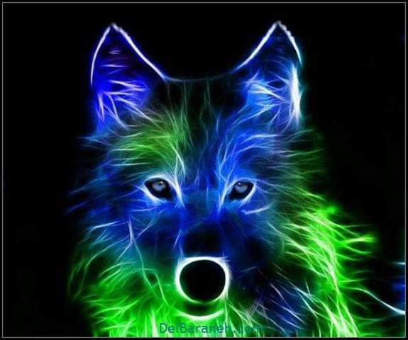  عکس گرافیکی گرگ