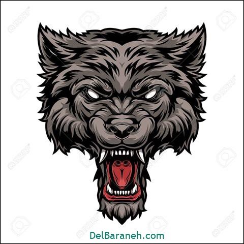  عکس گرافیکی گرگ