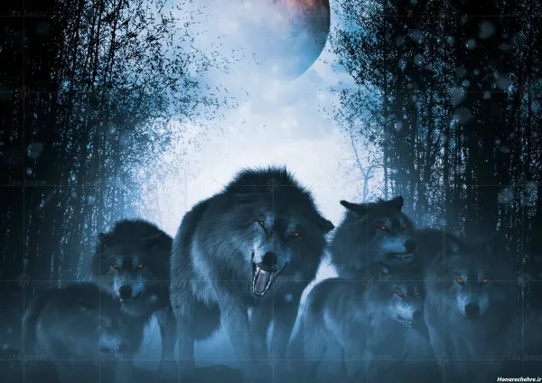  تصویر زمینه مشکی خفن گرگ