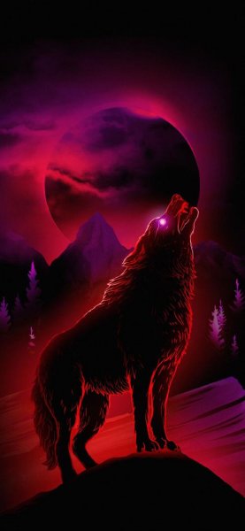 تصویر زمینه گرگ ترسناک