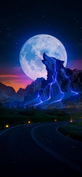 تصویر زمینه گرگ ترسناک