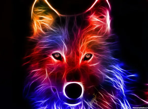  تصویر زمینه گرگ ترسناک