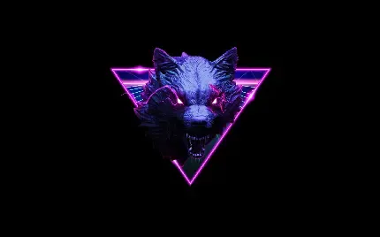 عکس گرگ در شب