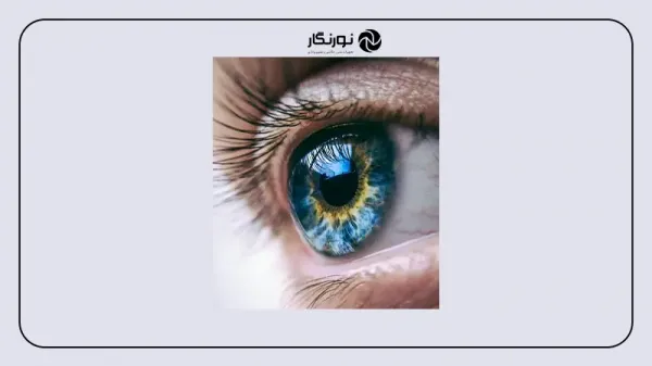  عکس چشم از نزدیک