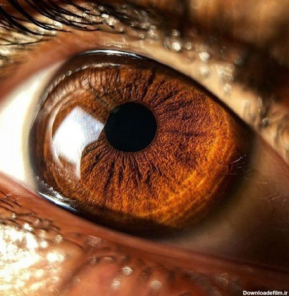  عکس پسرانه چشم قهوه ای عسلی