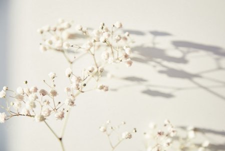  والپیپر مینیمال گل