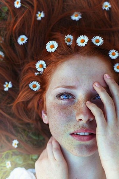  عکس مینیمالی گل برای پس زمینه