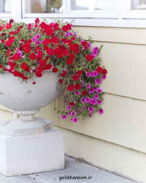  عکس منظره گل برای پروفایل