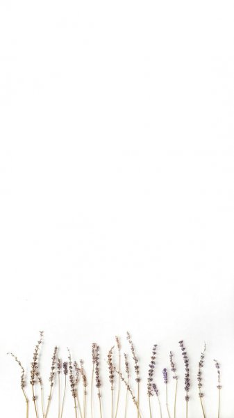  بک گراند سفید زیبا برای استوری