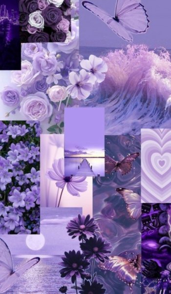  عکس پروانه بنفش برای پروفایل