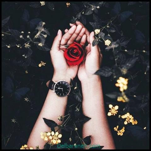 عکس دست برای پروفایل