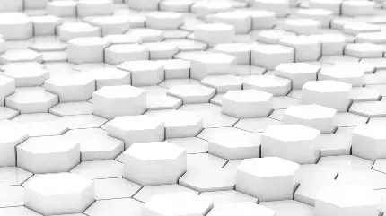 عکس سفید طرح دار