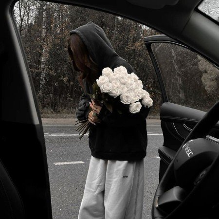  والپیپر گل رز سفید برای گوشی آیفون