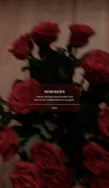  والپیپر گل رز سفید برای گوشی سامسونگ