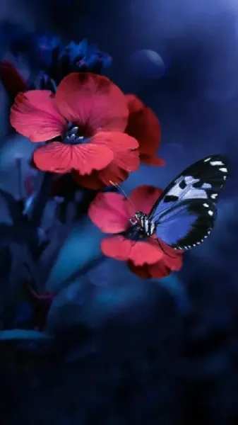  تصویر زمینه گل و پروانه برای گوشی