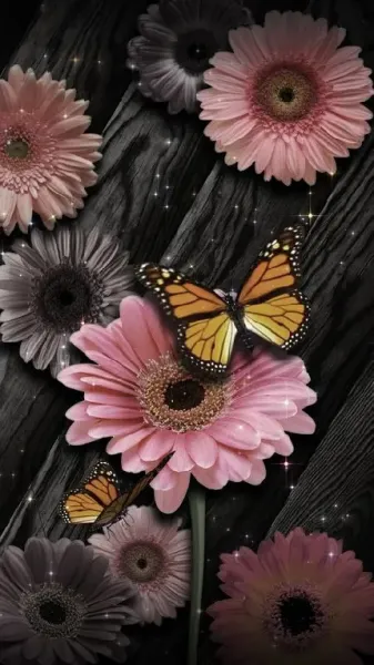  تصویر زمینه پروانه صورتی