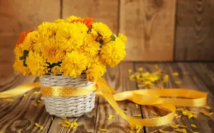 قیمت گل داوودی بنفش