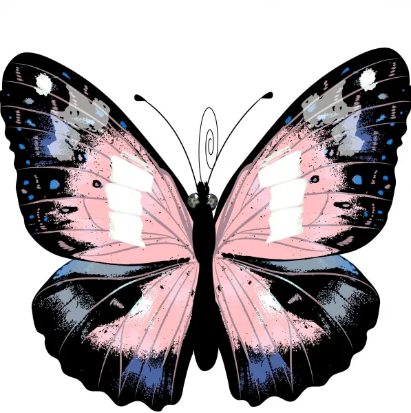  عکس گل و پروانه صورتی برای تصویر زمینه