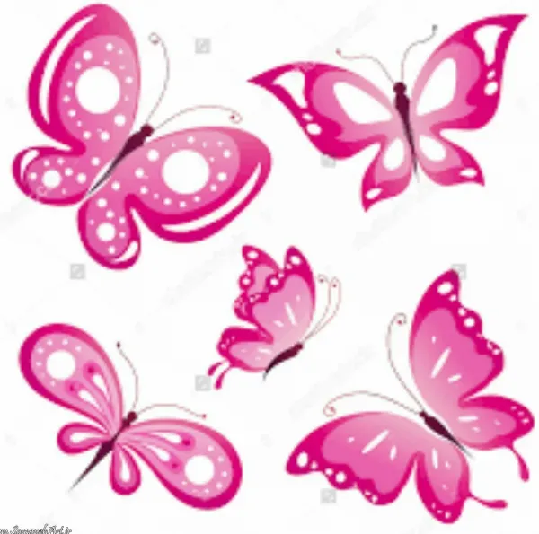  عکس گل و پروانه صورتی برای تصویر زمینه