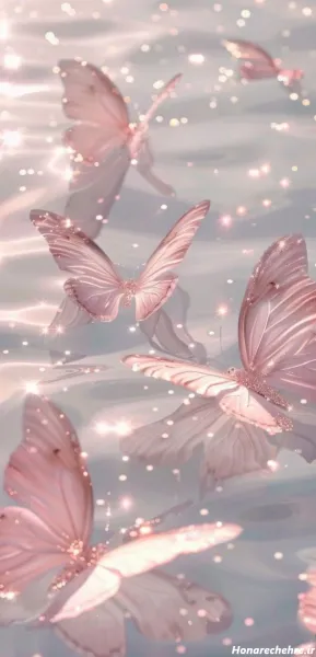  عکس گل و پروانه صورتی برای تصویر زمینه