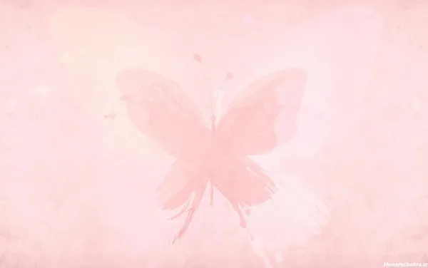  عکس گل و پروانه صورتی برای تصویر زمینه