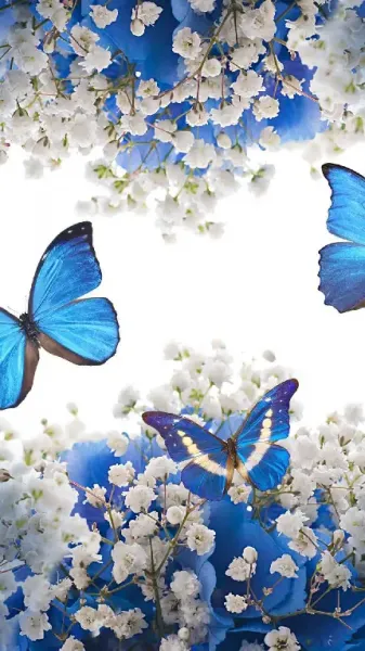  عکس گل و پروانه زیبا برای پروفایل دخترونه