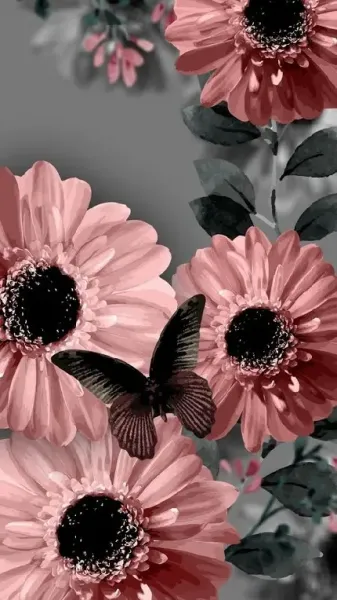  عکس گل و پروانه زیبا برای پروفایل دخترونه