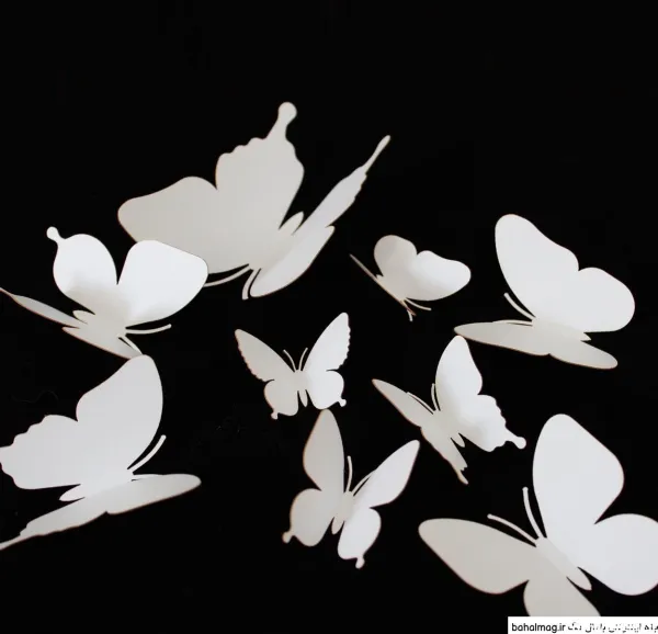  عکس پروانه سیاه