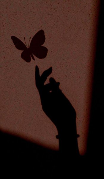  عکس پروانه سیاه و سفید برای پروفایل