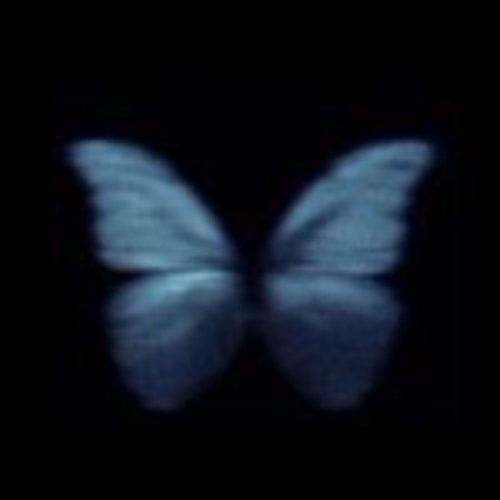  عکس پروانه سیاه و سفید برای پروفایل