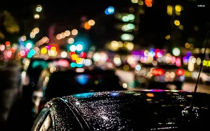  جدیدترین عکس پروانه خوشگل HD