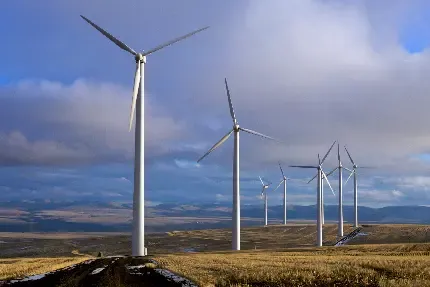  عکس مجسمه بودا برای پروفایل