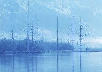  والپیپر رودخانه بکر