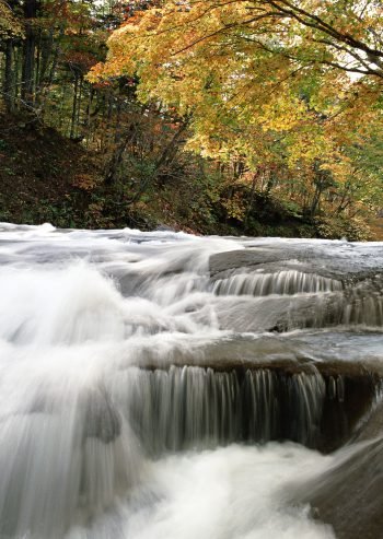  والپیپر رودخانه بکر