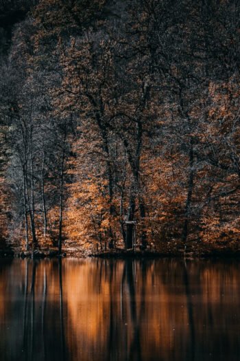  والپیپر رودخانه بکر