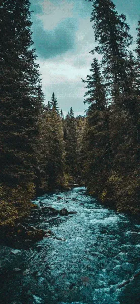  عکس دیدنی رودخانه بکر برای تصویر زمینه گوشی