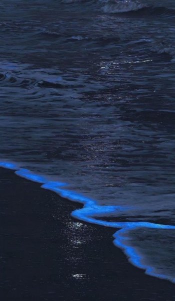  تصویر زمینه دریا متحرک