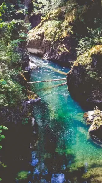  تصویر زمینه دریا و جنگل