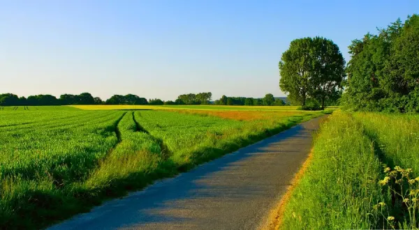  والپیپر طبیعت کوهستانی سرسبز