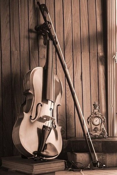 عکس ویولن خوشگل