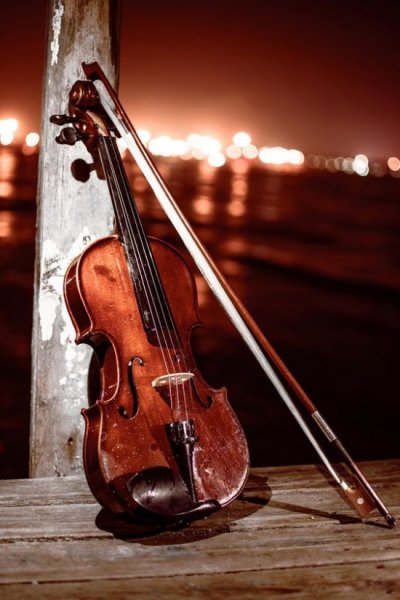  عکس ویولن خوشگل