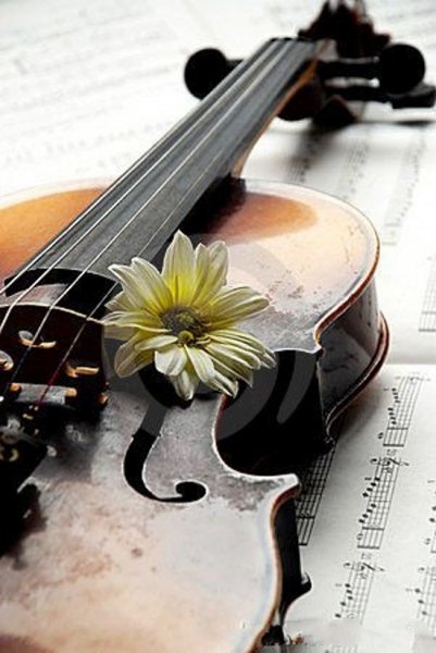  عکس ویولن خوشگل