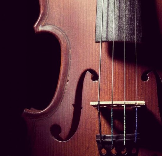  عکس ویولن خوشگل