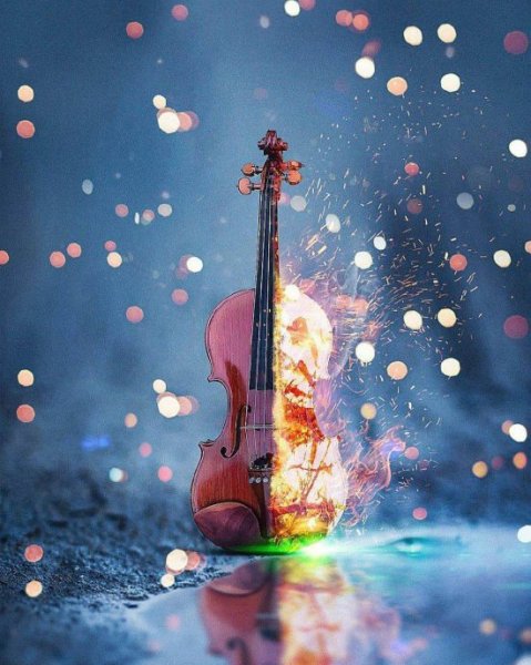  عکس ویولن خوشگل