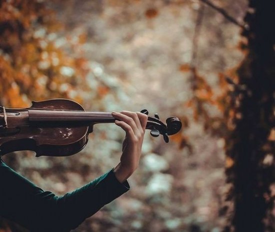  عکس ویولن خوشگل
