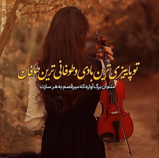  عکس ویولن خوشگل