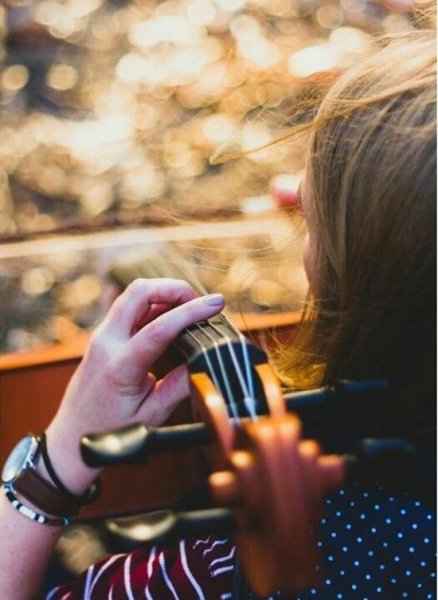  عکس ویولن خوشگل