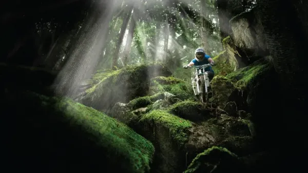  عکس پروفایل دوچرخه سواری