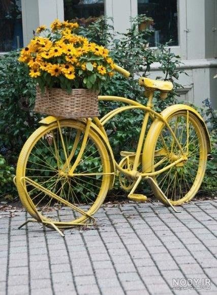  عکس پروفایل دوچرخه و گل