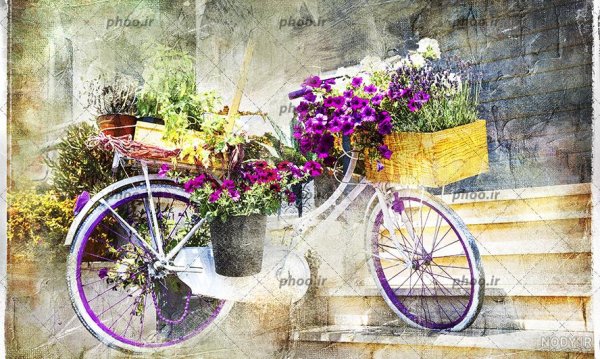  عکس پروفایل دوچرخه و گل
